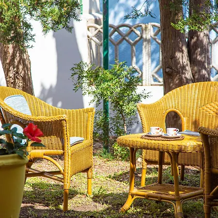 Salemi's Garden, Free Parking Iuns0217